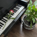 trouwlied op maat maken